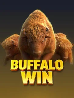 Buffalo Win by PG SOFT